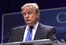 When You Realize That You Are The Deep State: Reflections on the Trump-Epstein Cover-Up Trump