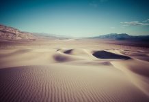 Review of American Trickster: The Hidden Lives of Carlos Castaneda