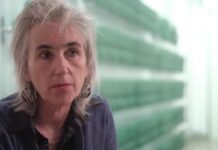 Did Marion Koopmans Lie Under Oath? Marion Koopmans