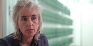 Did Marion Koopmans Lie Under Oath? Marion Koopmans